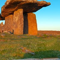 Cliffs of Moher & the Burren Tour from Galway