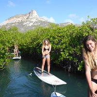 Guided paddleboarding (SUP) mangrove ECO tour for beginners