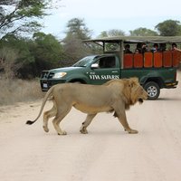5 Day Classic Kruger National Park Safari
