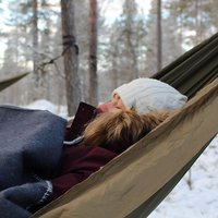 Cocooning in the HaliPuu forest: The ultimate Arctic hammock relaxation