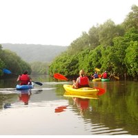 Goa Kayaking in Spike's River