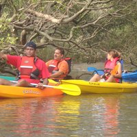 Mangroves Magic Goa Kayaking Experience