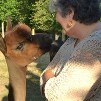 Alpaca Ranch and Fiber Processing Mill Tour