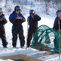 Full-Day Trip: King Crab Safari to Norway from Saariselkä Including Lunch