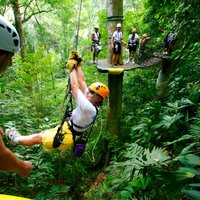 Adventure Combo Tour: Zipline adventure and Tortuguero Canals