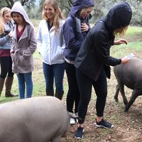 From Seville: Pig Farm private day tour and old villages visit