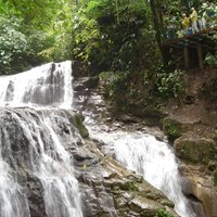 Veragua Rainforest Eco-Adventure + Aerial Tram + Tortuguero Canal