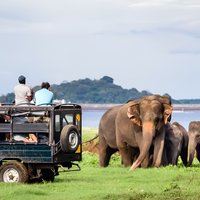 Private Jeep Safari To one of a Best National Park