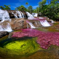3-Day Caño Cristales (Rainbow River) from Bogotá