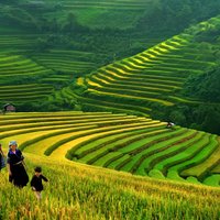 From Hanoi: 2-Day Fansipan Peak and Trek to Village with Train