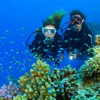 Tulamben Diving USS Liberty Shipwreck Scuba Dive