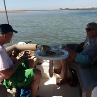 Private Ria Formosa Natural Park Boat Cruise from Faro