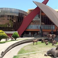 24 Hours in Arusha—Arusha Museum, Cultural Heritage, Maasai Market, Shanga