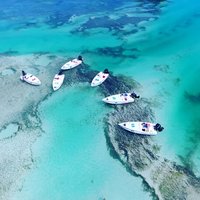 Key West Safari Eco Sandbar Tour Adventure with Snorkeling