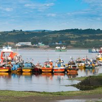 Puerto Varas: Full-Day Tour Chiloe Island: Castro and Dalcahue