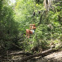 Riviera Maya Jungle Half-Day Tour: ATV, Ziplines, Cenote Swim, Rappel