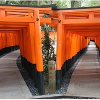 Kyoto 1 Day Tour from Kyoto