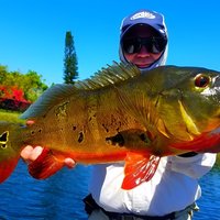 Miami Airport Lakes Peacock Bass Fishing Trip (1 to 4 ppl)