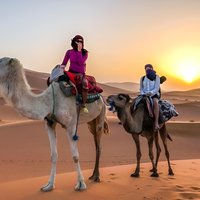 Group - 1 night Desert tour from Fes to Marrakech or back to Fes