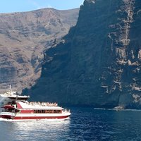 4'5-hour Royal Dolphin and Whale Watching Excursion in Tenerife