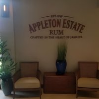 YS Falls and Appleton Estate Private Rum Tour
