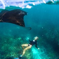 Nusa Penida Snorkeling & Kelingking Tour