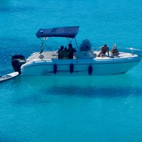 Golfo di Olbia and Dolphins Island Private Boat Tour