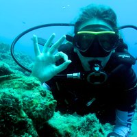 Open Water Diver Course at Blue Bay Dive in Curacao