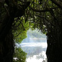 Private Day Tour: Negombo City Tour from Colombo