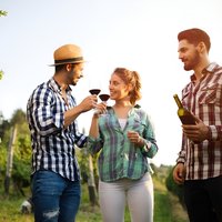 Sicilian Soul: Winery Tour, Wine & Food Tasting in Catania
