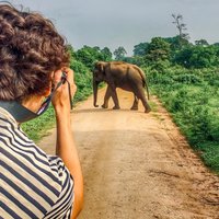 Sri Lanka tour itinerary . 6N/7D with driver, vehicle and H/B accommodations