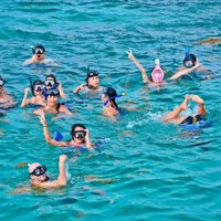 Catalina Island & Snorkling Tour Full Day All Inclusive