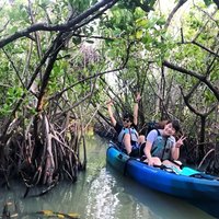 Thousand Island Mangrove Tunnel, Manatee & Dolphin Kayak Tour w/Cocoa Kayaking