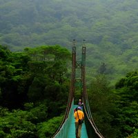 Monteverde Cloud Forest Hanging Bridges