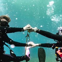 2 Tank Private SCUBA Party Diving Charter from Waikiki Hawaii