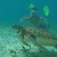 Hol Chan Full-Day Bucket List Snorkeling and Marine Life Tour