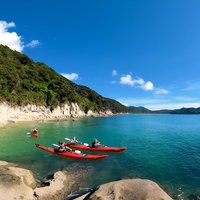Oarsome Marine Reserve Kayak Tour
