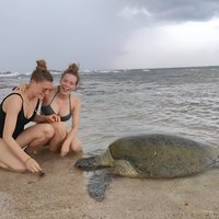 14 Days Tour in Sri Lanka (Hotels with Breakfast & Luxury Car)