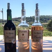 Bandol/Cassis Wine Day Tour : 7 hours