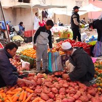 Atlas Mountains and Three Valleys & Waterfalls with Camel ride Day Trip