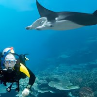 Double Diving in Sal Island - Half Day