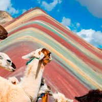 Excursión to Rainbow Mountain with Coca Ceremony | Prívate Tour |