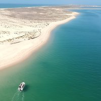 Faro - Ria Formosa tour with visit to 2 islands (Deserta, Farol) 3.5 hours