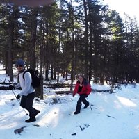 Bogd Khan Mountain Hiking Excursion - Private Day Trip