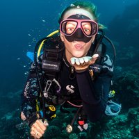 5 Fun Dives in Pemuteran (for certified divers) - Exploration in Menjangan Park