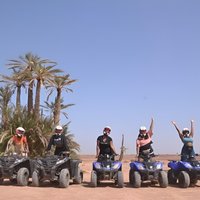 Enjoy a thrilling camel ride through the Palm Grove of Marrakech