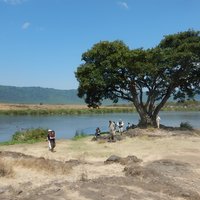 Ngorongoro Adventure Day Tour from Arusha