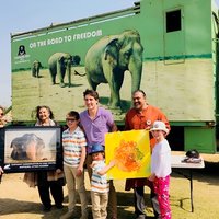 Half-Day Private Sightseeing tour to Wildlife SOS from Agra