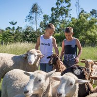 Trevena Glen 1hr Animal Tour