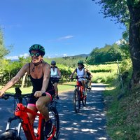 E-Bike Tour and Wine Tasting in Lazise